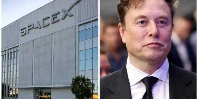 Harvard kantongi saham SpaceX Rp 39,2 triliun, raup cuan dari Elon Musk