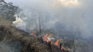 Hutan Bromo Terbakar: Tiga Akses Wisata Ditutup Sementara