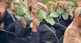 Ibu-ibu Unik Rayakan HUT RI ke-80 dengan Pikap dan Topeng Menarik