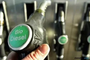 Implementasi B50: Penguatan Tata Kelola Biodiesel untuk Ketahanan Energi Nasional
