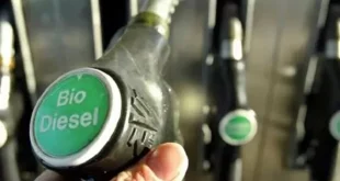 Implementasi B50: Penguatan Tata Kelola Biodiesel untuk Ketahanan Energi Nasional