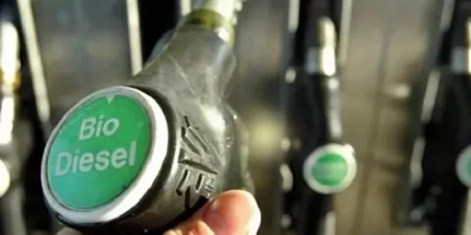 Implementasi B50: Penguatan Tata Kelola Biodiesel untuk Ketahanan Energi Nasional