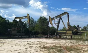 Impor Migas Melonjak Membuat Neraca Perdagangan Juni 2026 Defisit