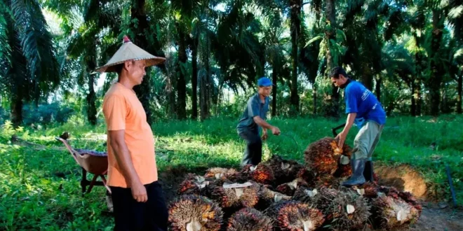 Indonesia Siap Menentukan Harga Komoditas Dunia, Tak Hanya Jadi Penghasil Prabowo Targetkan Indonesia Ikut Tentukan Harga Komoditas Dunia