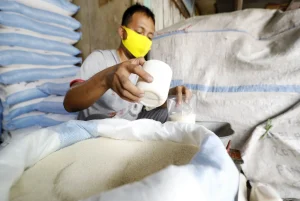 Integrasi Kebun Tebu dan Gula Rafinasi: Membangun Indonesia yang Kuat