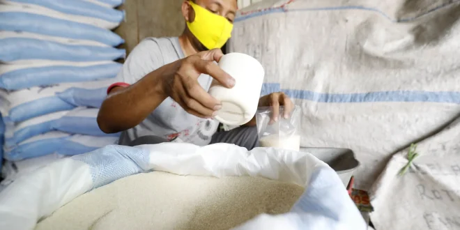 Integrasi Kebun Tebu dan Gula Rafinasi: Membangun Indonesia yang Kuat