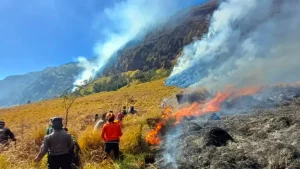 Kawasan Bromo Ditutup Total Menhut Pastikan Penanganan Karhutla Berjalan Optimal