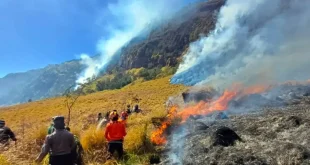 Kawasan Bromo Ditutup Total Menhut Pastikan Penanganan Karhutla Berjalan Optimal