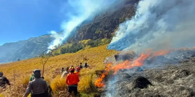 Kawasan Bromo Ditutup Total Menhut Pastikan Penanganan Karhutla Berjalan Optimal