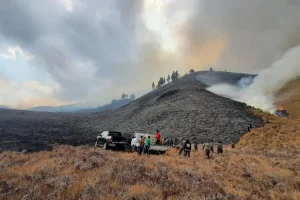 Kawasan Bromo Terbakar, Mengancam Kehidupan Satwa Liar dan Wisatawan