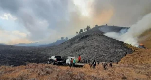 Kawasan Bromo Terbakar, Mengancam Kehidupan Satwa Liar dan Wisatawan