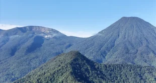 Kebakaran Gunung Gede, Jalur Pendakian Ditutup Sementara