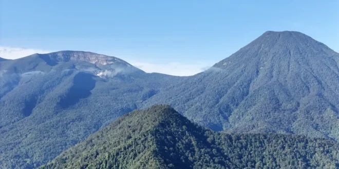 Kebakaran Gunung Gede, Jalur Pendakian Ditutup Sementara