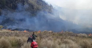 Kebakaran Hutan di Gunung Bromo: 60 Hektare Savana Terbakar, Jalur Wisata Ditutup Sementara