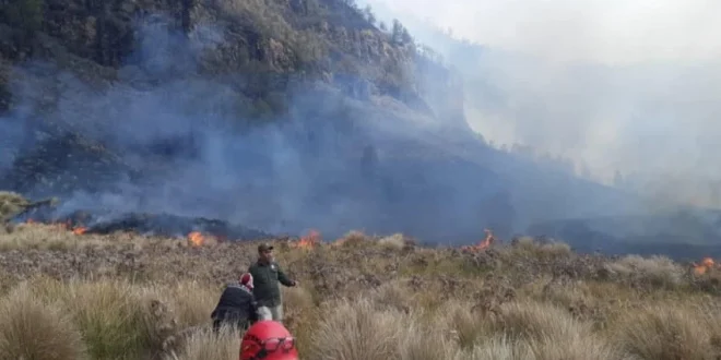 Kebakaran Hutan di Gunung Bromo: 60 Hektare Savana Terbakar, Jalur Wisata Ditutup Sementara