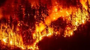 Kebakaran Hutan di Kanada: 20 Ribu Orang Dievakuasi dalam Keadaan Darurat