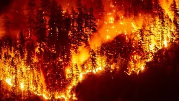 Kebakaran Hutan di Kanada: 20 Ribu Orang Dievakuasi dalam Keadaan Darurat