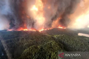 Kebakaran Hutan di Kanada: Bencana Alam yang Mengancam Ribuan Nyawa