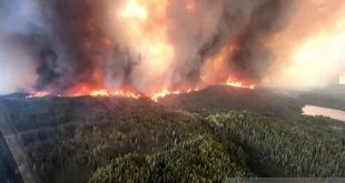 Kebakaran Hutan di Kanada: Bencana Alam yang Mengancam Ribuan Nyawa