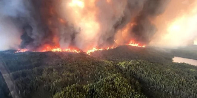 Kebakaran Hutan di Kanada: Bencana Alam yang Mengancam Ribuan Nyawa