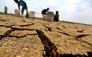 Kekeringan dan Karhutla Masih Melumpuhkan Wilayah-Wilayah di Indonesia