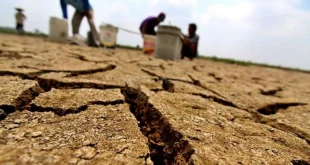 Kekeringan dan Karhutla Masih Melumpuhkan Wilayah-Wilayah di Indonesia