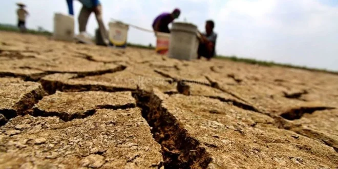 Kekeringan dan Karhutla Masih Melumpuhkan Wilayah-Wilayah di Indonesia
