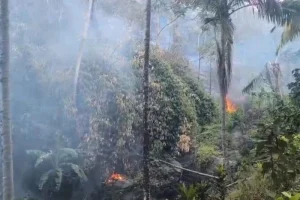 Kemarau Meluas di Sulteng: BMKG Ingatkan Risiko Karhutla yang Mengerikan
