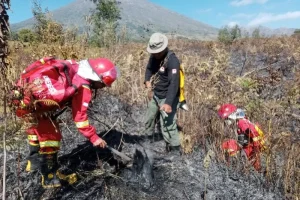 Kemenhut Berhasil Kendalikan Karhutla di Sembalun Gunung Rinjani, Lingkungan Alam Lebih Aman