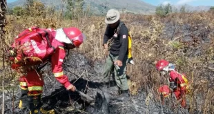 Kemenhut Berhasil Kendalikan Karhutla di Sembalun Gunung Rinjani, Lingkungan Alam Lebih Aman