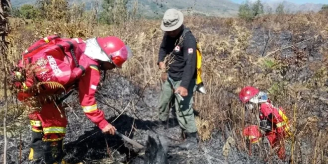 Kemenhut Berhasil Kendalikan Karhutla di Sembalun Gunung Rinjani, Lingkungan Alam Lebih Aman