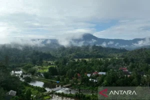 Kemenhut Perkuat Transformasi Perdagangan Karbon yang Inklusif