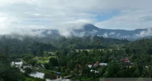 Kemenhut Perkuat Transformasi Perdagangan Karbon yang Inklusif