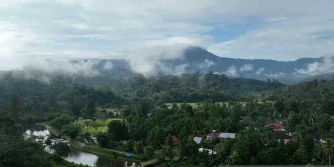 Kemenhut Perkuat Transformasi Perdagangan Karbon yang Inklusif