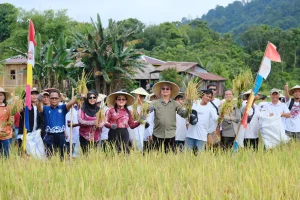 Ketahanan Pangan Terjaga Malinau Sejahtera Lewat Pertanian Sehat