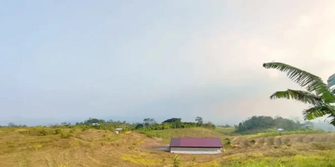 Kopdes Merah Putih di Kudus: Simbol Kemandirian Petani di Tengah Perkebunan