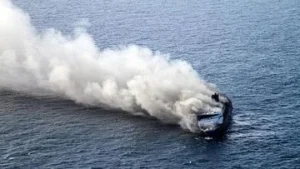 Kuda Pacu Juara Nasional Hangus Terbakar di KMP Mutiara Sentosa: Nasib Malang Kuda Pacu