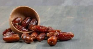 Kurma dan Akar Rumput Fatimah: Mitos atau Fakta tentang Kelahiran?