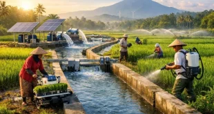 Langkah Baru Satgas PRR Integrasi Pemulihan DAS Irigasi dan Sawah di Aceh: Membangun Kembali Keberlanjutan Lingkungan