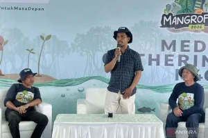 Mangrove Indonesia: Pola Silvofishery Tingkatkan Minat Petambak Rehabilitasi