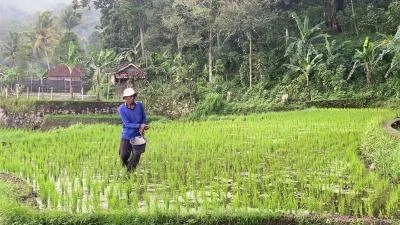 Mengembangkan Ekosistem Ekonomi Hijau di Sektor Pertanian dan Industri Pengolahan Singkong