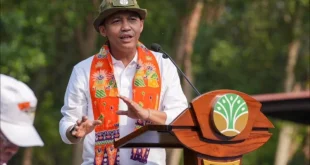 Menhut Dorong Gerakan Pemulihan Hutan dan Ekosistem dalam HKAN 2026