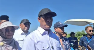 Mentan Bakal Surati Kepala BGN Minta SPPG Serap Telur dari Peternak Sesuai HAP