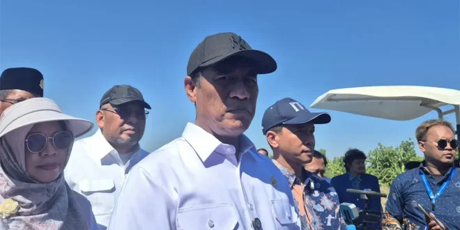 Mentan Bakal Surati Kepala BGN Minta SPPG Serap Telur dari Peternak Sesuai HAP