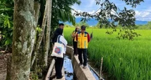 Nagan Raya Siapkan Sawah untuk Musim Tanam