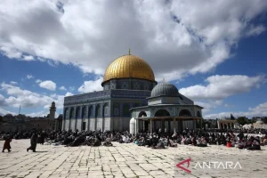 OKI Kecam Serangan Israel Terhadap Kamp Pengungsi Yerusalem: Aksi Kejam Menimbulkan Kematian dan Kerusakan