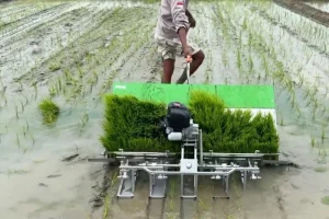 Optimalisasi Lahan Tingkatkan Pola Tanam Sawah di Kaltim