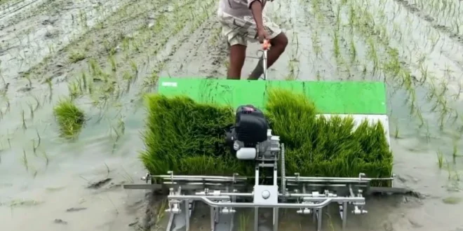 Optimalisasi Lahan Tingkatkan Pola Tanam Sawah di Kaltim