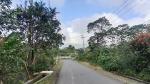 Pembangunan Infrastruktur Jalan PLTP Mataloko: Kunci Kemajuan Masyarakat
