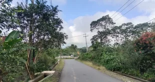 Pembangunan Infrastruktur Jalan PLTP Mataloko: Kunci Kemajuan Masyarakat